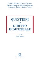 Questioni di diritto industriale