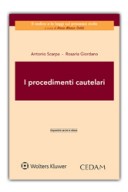 I procedimenti cautelari 2015