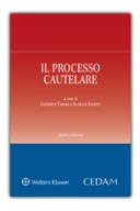 Il processo cautelare