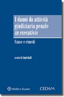 I danni da attività giudiziaria penale in executivis 2017