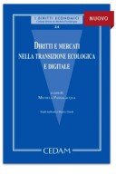 Diritti e mercati nella transizione ecologica e digitale