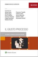 Il giusto processo 