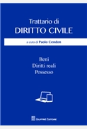 Trattario di diritto civile - Beni, diritti reali, possesso