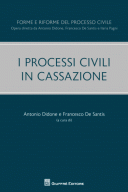I processi civili in Cassazione