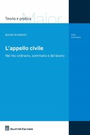 L'appello civile nel rito ordinario, sommario e del lavoro