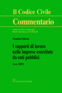 I rapporti di lavoro nelle imprese esercitate da enti pubblici art 2093