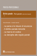 Diritto penale - parte generale vol. 2