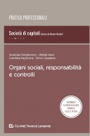 Organi sociali, responsabilita' e controlli