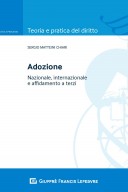 Adozione nazionale, internazionale e affidamento a terzi