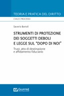  Strumenti di protezione dei soggetti deboli e legge sul "dopo di noi". Trust, atto di destinazione e affidamento fiduciario