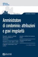 Amministratore di condominio: attribuzioni e gravi irregolarità