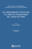 Gli adeguamenti statutari e il diritto transitorio del terzo settore