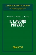 Il lavoro privato