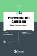 Provvedimenti cautelari