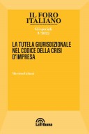 La tutela giurisdizionale nel codice della crisi d'impresa