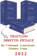 Trattato di diritto penale 2022