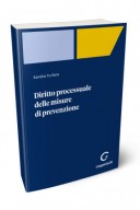 Diritto processuale delle misure di prevenzione