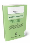 Processo del lavoro