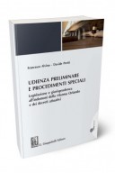 Udienza preliminare e procedimenti speciali