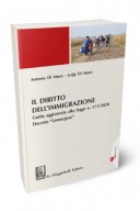 Il diritto dell'immigrazione