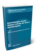 Ammortizzatori sociali, welfare e diritto del lavoro dell'emergenza