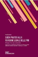 Guida pratica alla revisione legale delle PMI