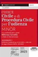 Codice Civile e di Procedura Civile per l’udienza Minor – 504/4 
