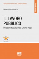 Il lavoro pubblico