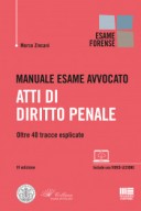 Manuale Esame Avvocato Atti di Diritto penale