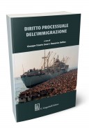 Diritto processuale dell'immigrazione