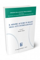 Il minore autore di reato negli atti internazionali