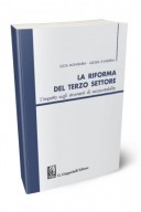 La riforma del terzo settore. L'impatto sugli strumenti di accountability