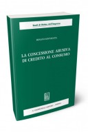 La concessione abusiva di credito del consumo