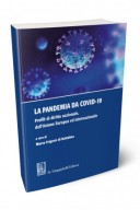 La pandemia da Covid-19