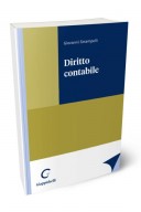 Diritto contabile