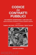 CODICE DEI CONTRATTI PUBBLICI 2020 CON NORMATIVA GIURISPRUDENZA E LINEE GUIDA ANAC(DISCIPLINA SOSTANZIALE PROCESSUALE E ANTIMAFIA AGGIORNATA E ANNOTATA)