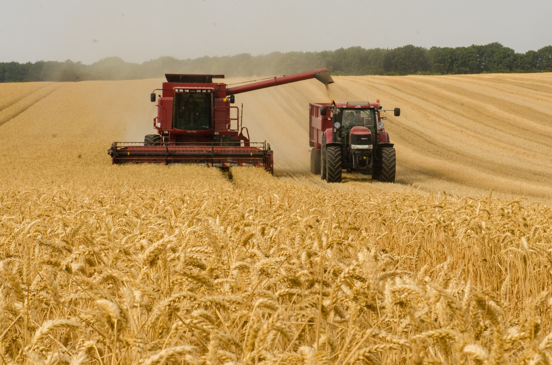 reati-agroalimentari-libreria-quaglia-formazione