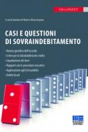 Casi e questioni di sovraindebitamento 2017