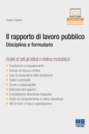 Il rapporto di lavoro pubblico 2019