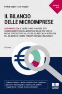  Il bilancio  delle microimprese 2018