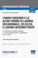 I nuovi voucher e le  altre forme di lavoro occasionale, co.co.co. e lavoro intermittente 2017