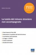  La tutela del minore straniero non accompagnato 2019