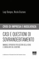 Casi e questioni di sovraindebitamento 